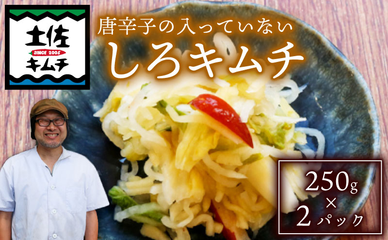 【土佐キムチ しろ】 しろキムチ 250g×2パック 無添加 自然派 パリパリ キムチ 漬物 発酵 白菜 キムチ 手作り てづくり 韓国 高知県 南国市
