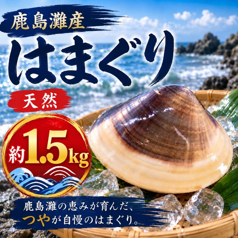 【ふるさと納税】 はまぐり 蛤 鹿島灘産 約1.5kg 砂抜き 済み 天然 国産 貝 産地直送 冷蔵 海鮮 魚介類 海産物 肉厚 新鮮 魚 貝 だし ダシ 出汁 味噌汁 酒蒸し グラタン お吸い物 網焼き BBQ 鹿島灘 人気 おすすめ お取り寄せ グルメ 美味しい 送料無料 茨城県 鹿嶋市