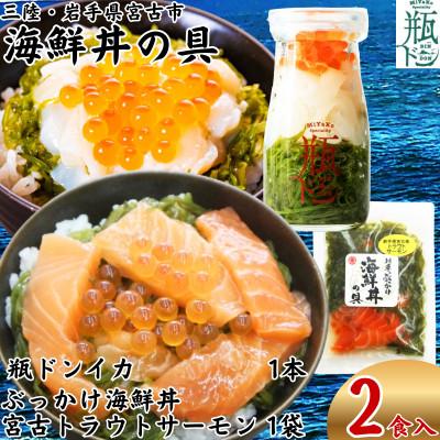 ふるさと納税 宮古市 海鮮丼の具 川秀 瓶ドンイカ1本 ぶっかけ海鮮丼の具宮古トラウトサーモン1袋 計2食セット