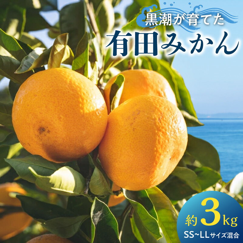 【ふるさと納税】【2026年先行予約】 黒潮が育てた有田みかん 約3kg (SS〜LLサイズ混合) 【ミカン 蜜柑 柑橘 温州みかん 有田みかん 和歌山】