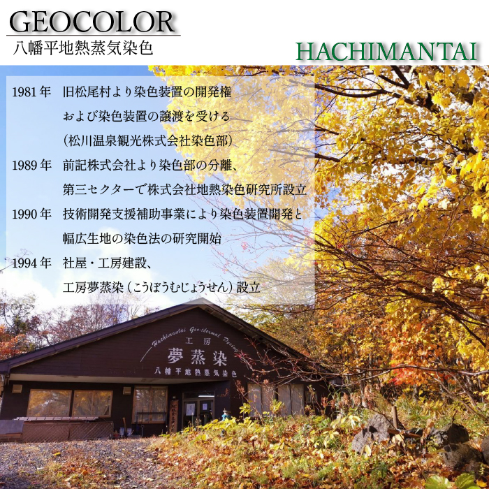 八幡平GEOCOLORペンケース（寒色系）【どれが届くかお楽しみ】 ／ 地熱染め 筆記用具 大人 贈り物 染め物