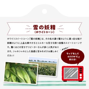 【令和8年発送】大山さんちのホワイトコーン(雪の妖精)4.5kg スイートコーン