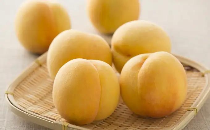 桃 先行予約 黄金桃 等級 エース 約1.5kg  5～7玉入り もも モモ 桃
