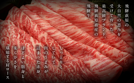 飛騨牛すき焼セット (肩すき焼 200g　ももすき焼 300g) 牛肉 国産 ブランド牛【22-7】【冷凍】