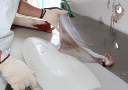 【2025年12月から発送】冷凍ソデイカ　1Kg(6~8人前)