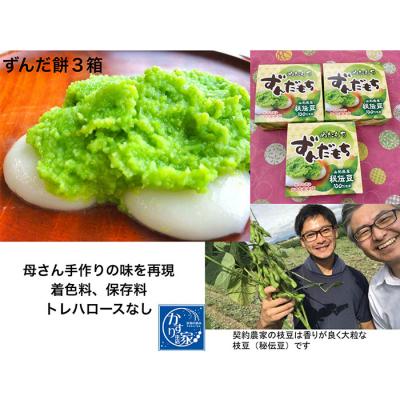 ふるさと納税 山形市 香りが良い 「ずんだ餅」 12個(4個入×3箱) FZ23-545