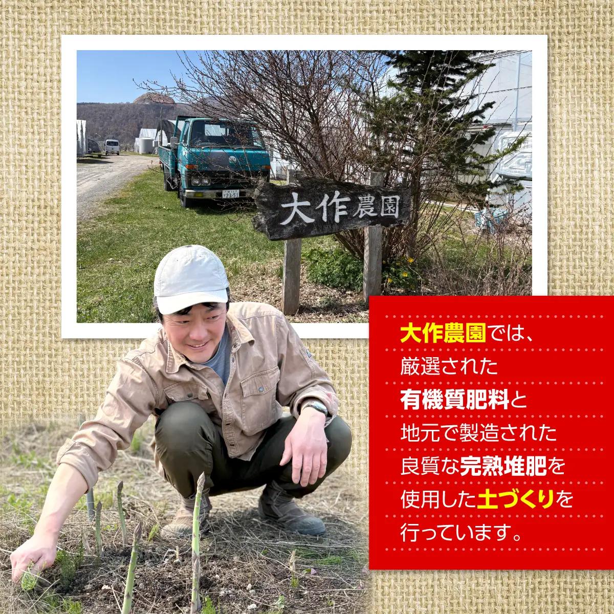 ＜2026年7月上旬よりお届け＞北海道壮瞥産 大作農園の「カラフルミニトマト」約500g（5種以上）とセミドライトマトオイル漬け1瓶（110g）のセット SBTR008
