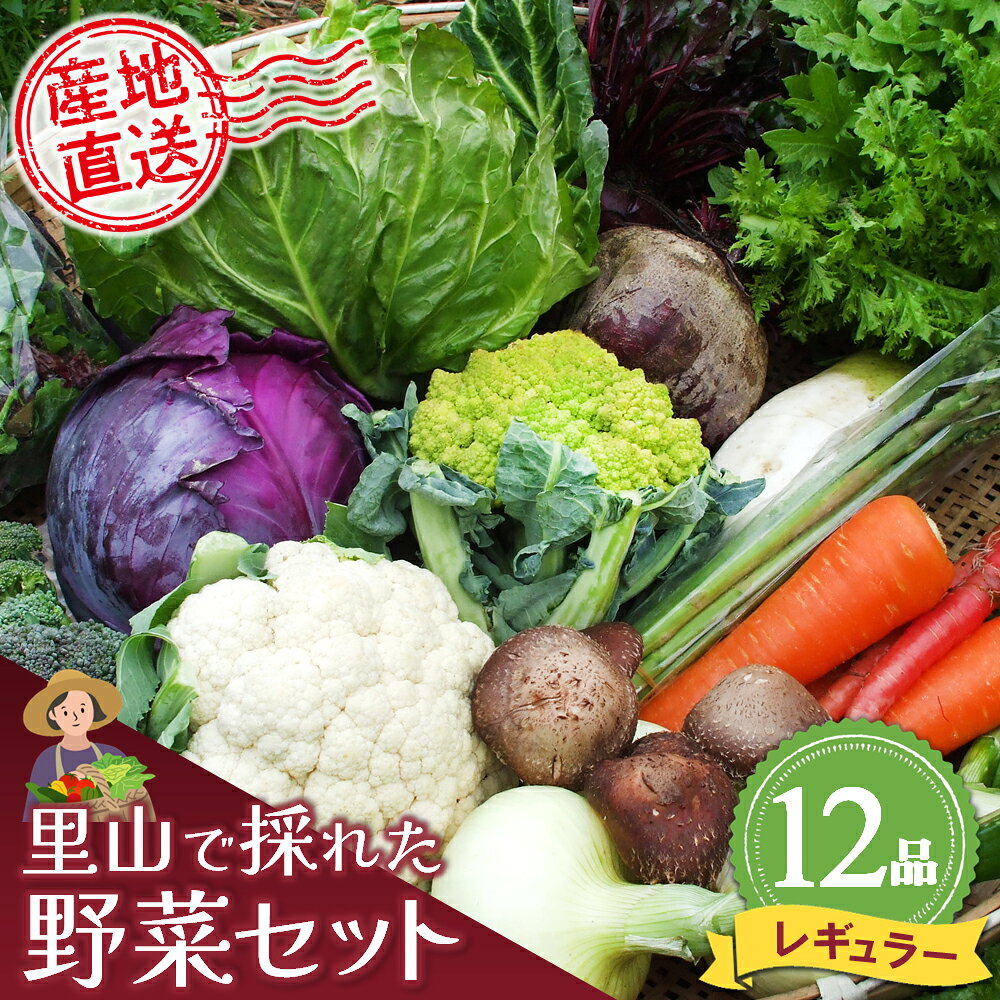 【ふるさと納税】里山で採れた野菜セットレギュラー 12品 【有機野菜 おまかせ野菜セット イタリア野菜 西洋野菜】(H078105)