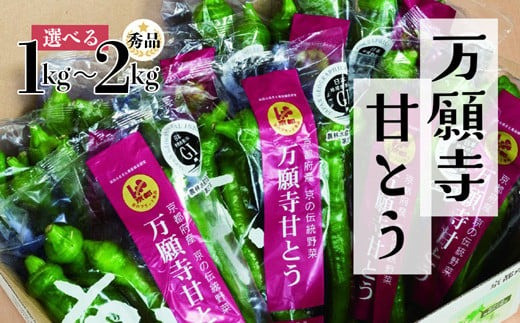 
【選べる容量 7月～10月末発送】 万願寺甘とう (1kg / 1.2kg / 2kg ) とうがらし 国産 おいしい ブランド 辛くない 万願寺唐辛子 万願寺とうがらし 野菜 京野菜 京都府 期間限定
