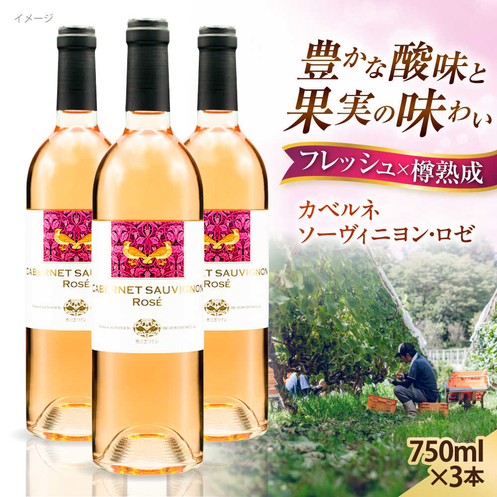 【ふるさと納税】ワイン 奥出雲葡萄園 カベルネソーヴィニヨン・ロゼ 3本セット 国産 ワイン セット 島根県雲南市/有限会社奥出雲葡萄園[AICS022] ロゼワイン 熟成 ワイン 国産 島根 ブドウ 葡萄 お酒 酒 フルーティー 贈り物 人気 おすすめ 低温発酵