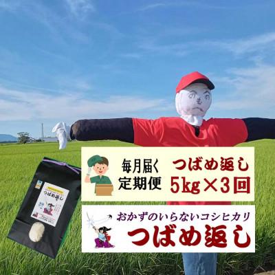ふるさと納税 燕市 【毎月定期便】おかずのいらないコシヒカリ「つばめ返し」白米5kg全3回