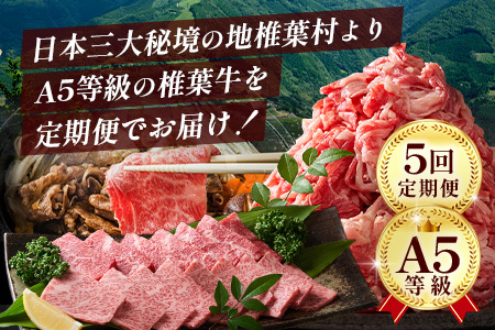 【定期便5回】総重量3.5kg！椎葉牛オールスター定期便≪ローストビーフ・切り落とし・焼き肉・スライス・ステーキ≫