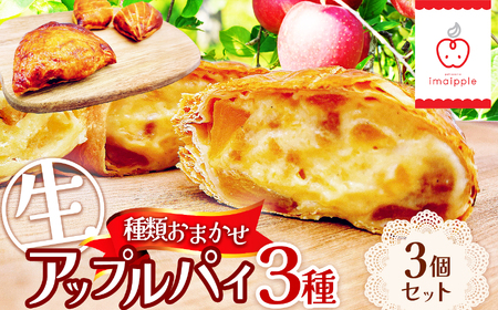 【種類お任せ】生アップルパイ3個セット｜ 菓子 ふるさと納税 お菓子 デザート 信州 林檎 おやつ アップルパイ クリーム 季節 人気 フルーツ スイーツ 洋菓子 ご当地 長野県 松本市