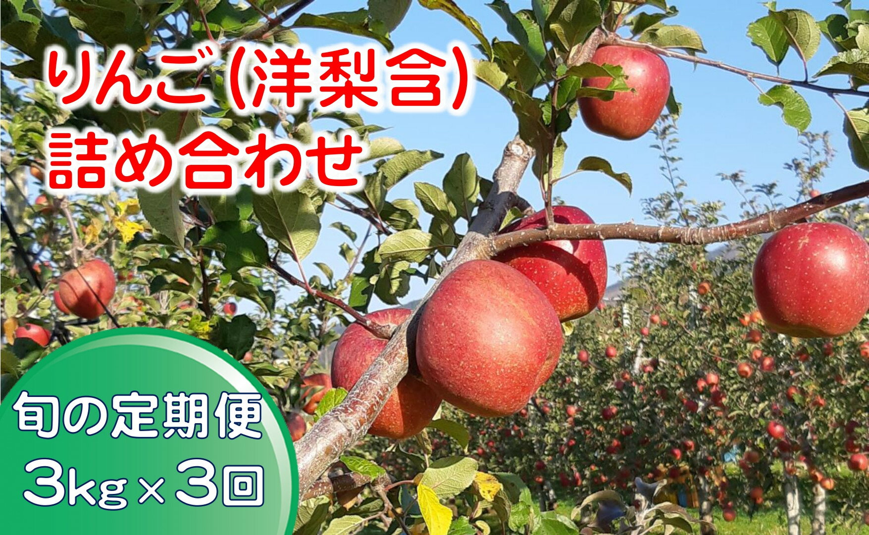 【ふるさと納税】先行予約 3回定期便 旬の 完熟 りんご ( 洋梨含む ) 約3kg×3回お届け 品種おまかせ 1種〜2種 リンゴ 林檎 米崎りんご 洋ナシ なし 梨 果物 フルーツ 旬 期間限定 数量限定 ギフト プレゼント 贈答品 人気 おすすめ 国産 岩手 陸前高田 清水農園