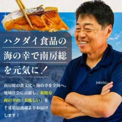 ふるさと納税 南房総市 骨取り塩さば　切身5kg(500g×10)脂乗良好【訳あり】　mi0012-0098 |  | 03