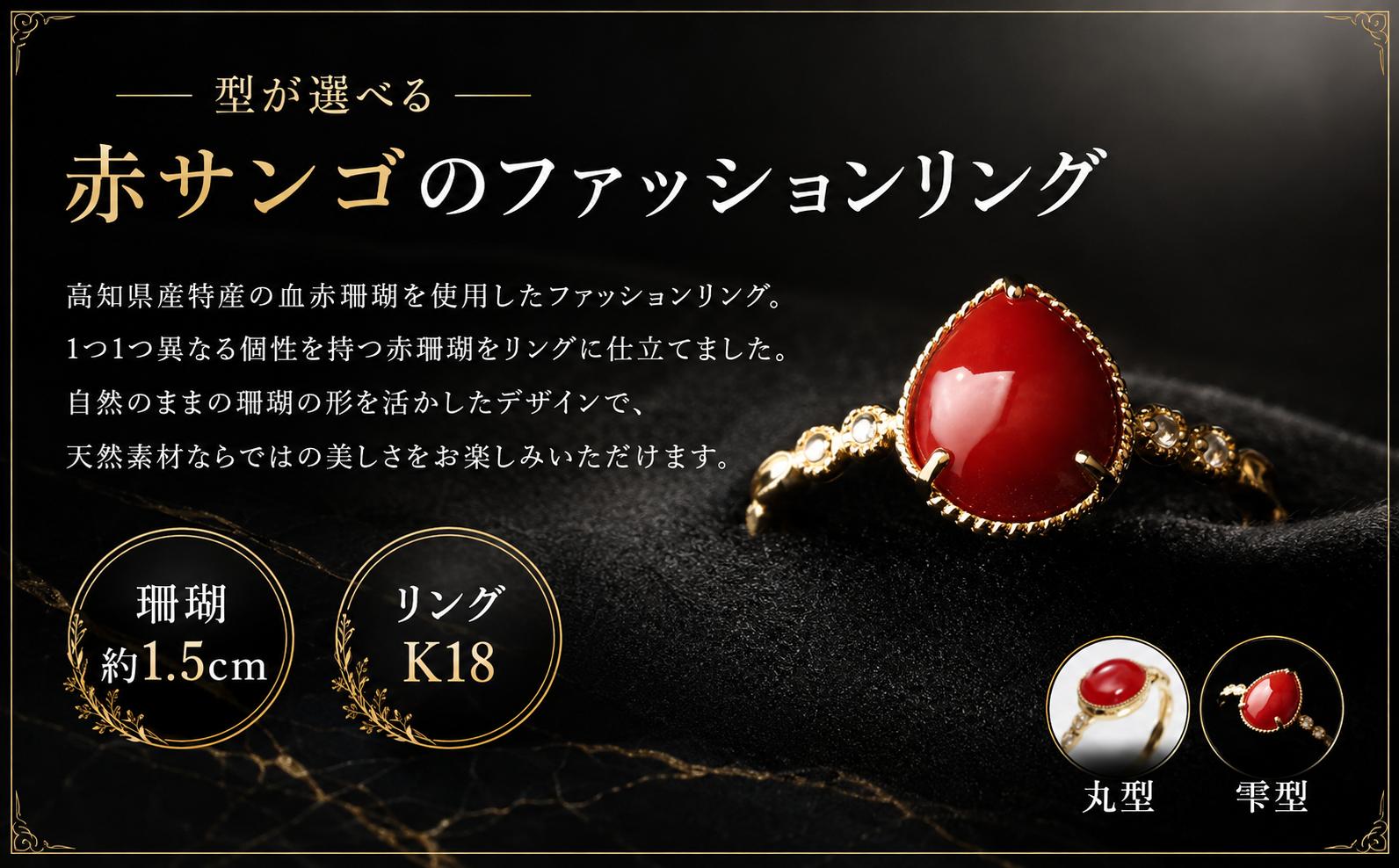 
                  ［選べる］赤サンゴのファッションリング | アクセサリー 指輪 ジュエリー 珊瑚 赤珊瑚 宝石 サンゴ プレゼント クリスマス バレンタイン カジュアル レディース シンプル 贈答用 人気 高価 高級 おすすめ ふるさと納税サンゴ ふるさと納税指輪 ふるさと納税アクセサリー 高知県 室戸市
                