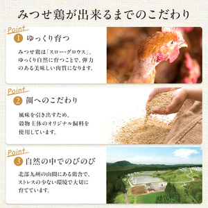 鶏肉 唐揚げ用 みつせ鶏 どぶ漬け から揚げ 780g 肉 お肉 鳥肉 揚げるだけ 甘辛 
