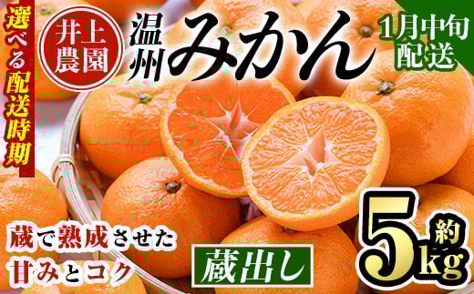 ＜1月中旬より順次発送予定＞大分県宇佐市産 蔵出し みかん(約5kg)ミカン 蜜柑 柑橘 フルーツ 果物 くだもの 果実 国産 熟成【103640100】【井上農園】