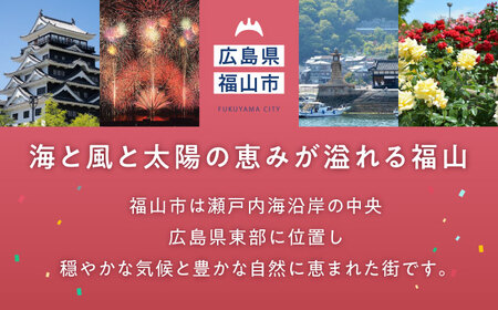 たたみ ばらの小畳（灰桜色×薔薇玉縁）ピンク 1枚 福山市/畦崎畳商工株式会社 畳 インテリア 和風 和モダン たたみ[BADP007]