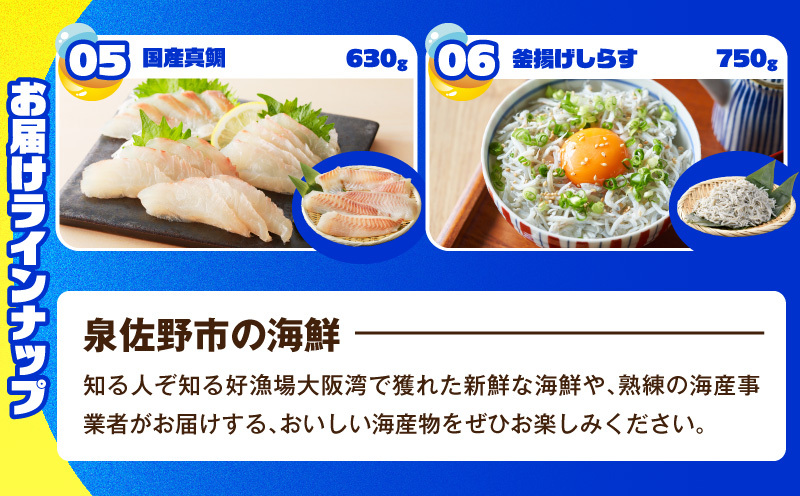 【期間限定】泉佐野 海鮮ガチャ（寄附10,000円コース）【海鮮 えび 鮭 サーモン しらす 刺身 普段使い お楽しみ 翌月以降】 gacha015_イメージ5