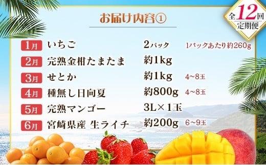 【12回定期便】旬 人気 フルーツ 南国宮崎産 マンゴー ライチ 金柑たまたま シャインマスカット ピオーネ いちご みかん 日向夏 メロン 梨 柑橘 きんかん ぶどう 果物 詰め合わせ 宮崎県 九州