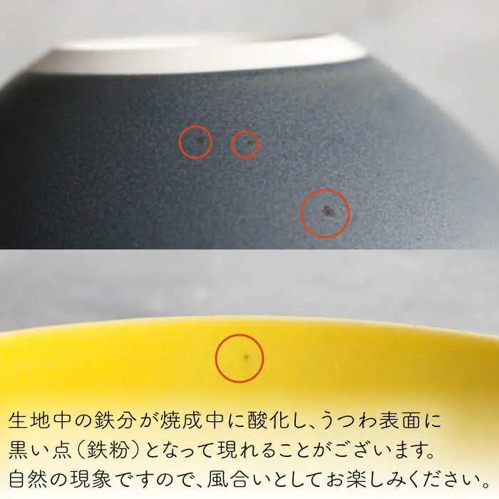【波佐見焼】Naturalシリーズ プレート L (ネイビー） パスタ皿 皿 マット【光春窯】[XD103] 波佐見焼