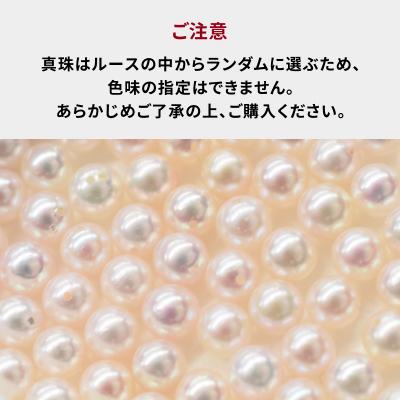 ふるさと納税 天草市 天草産 9mm - 9.5mm あこや真珠 スタッド パールピアス【チタン】_S101-297 |  | 03