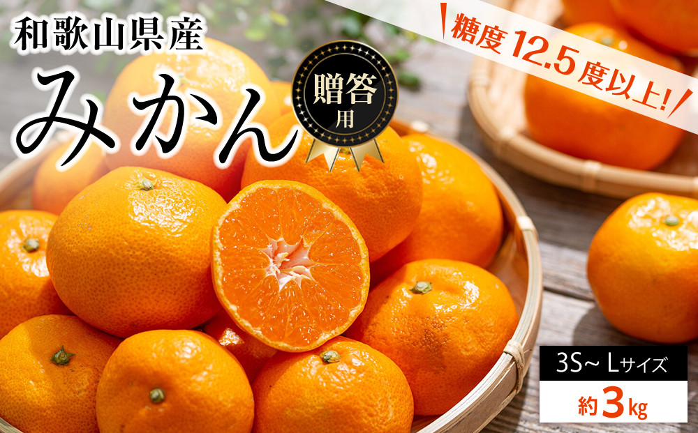和歌山県産 糖度 12.5度以上 秀品 贈答用 みかん 3kg 3S〜L サイズ混合［MG54］