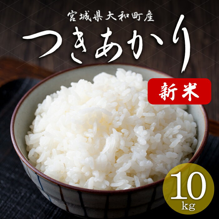 【ふるさと納税】＜令和7年産 新米 先行予約！2025年10月から順次発送予定＞ つきあかり 10kg お米 おこめ 米 コメ 白米 ご飯 ごはん おにぎり お弁当【赤間農業開発株式会社】ta460