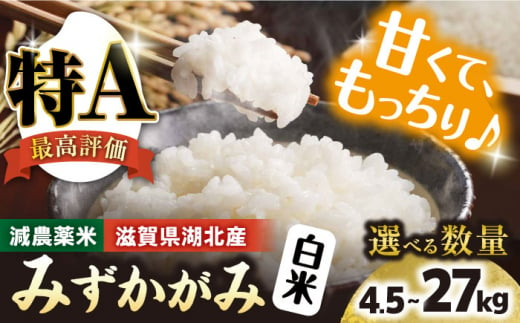 令和6年産【新米】 滋賀県湖北産 湖北のみずかがみ 4.5kg (白米)　滋賀県長浜市/株式会社エース物産[AQAK018] 米 お米 ご飯 ごはん ゴハン