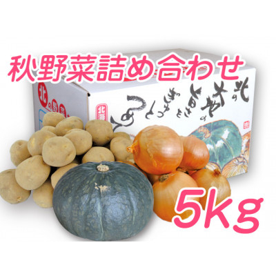 
＜先行受付＞＜9月下旬より発送＞富良野野菜 5kgセット(じゃがいも・玉ねぎ・かぼちゃ)【1384059】
