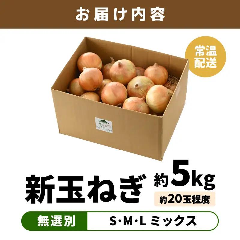 【先行予約】採れたて 新玉ねぎ 5kg（サイズ S M L ミックス）田んぼで育てた甘くて柔らか自慢の玉ねぎ！／ 常備 野菜 玉葱 たまねぎ 新鮮 ※2027年6月上旬以降順次発送予定  [aw056