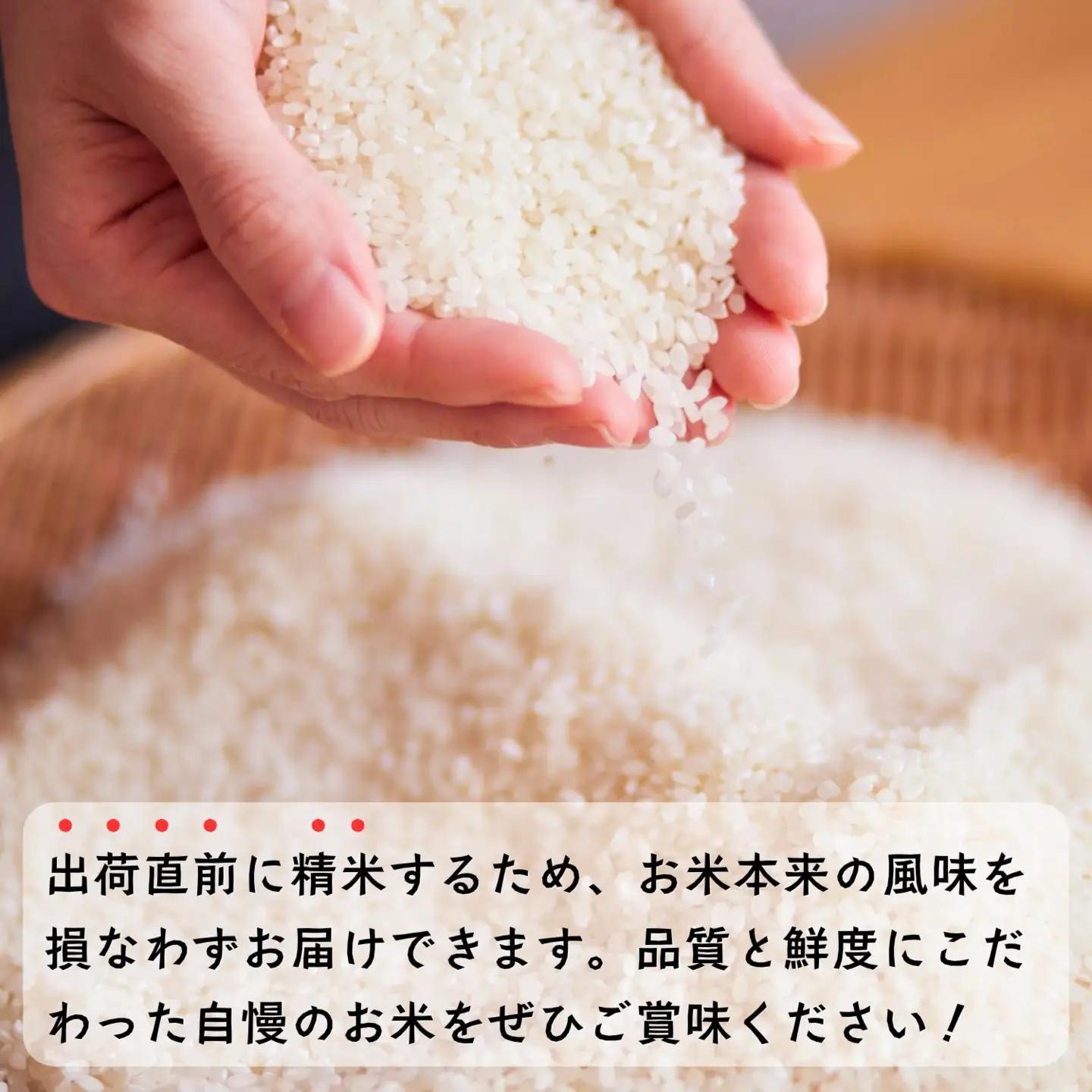 【新米予約】《定期便》＼ 2026年12月より5kg 6回 ／コシヒカリ 木内ファーム