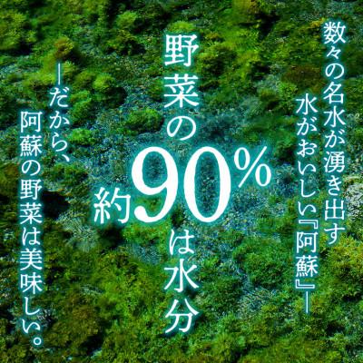 ふるさと納税 阿蘇市 【毎月定期便】季節のお野菜セットLサイズ 旬のお野菜を厳選してお届け全12回 |  | 01