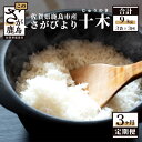 【ふるさと納税】【定期便3回】白米 9kg （1kg×3袋×3回） 肥前の国 新鮮米 十木 （じゅうのき） さがびより 定期便3カ月 令和5年産 佐賀県 鹿島産 小分けタイプ お米 九州 米 精米 国産 九州産 鹿島市 送料無料 E-92