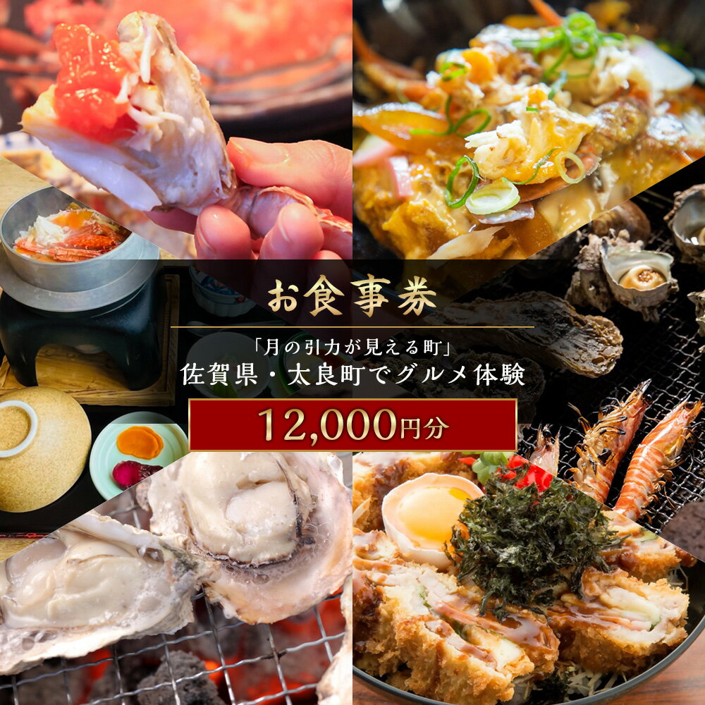 【ふるさと納税】【お食事券】 「月の引力が見える町」 佐賀県・太良町でグルメ体験 12,000円分 （1,000円券 × 12枚） 【7営業日以内発送】 食事券 お食事券 グルメ体験 券 チケット 体験チケット 佐賀県 太良町 QN3