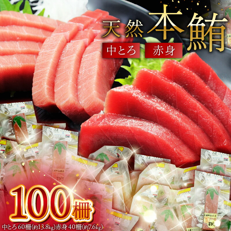 【ふるさと納税】 天然 本鮪 中とろ 赤身 合計100柵 まぐろ マグロ 鮪 三崎 三崎港 海鮮 魚 魚介 母の日 父の日 敬老の日 オーシャン・グロウ 神奈川 三浦市 おすすめ ランキング プレゼント ギフト