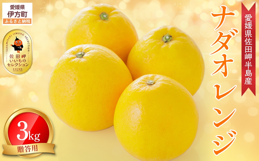 【農家直送】愛媛県産 ナダオレンジ 贈答用 3kg（2026年5月中旬より順次発送予定） IKTC005 