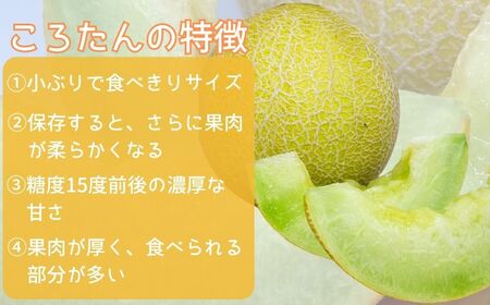 [先行予約]メロン 美土里農園の高糖度メロン ころたん 2玉（1kg×2個）| メロン メロン メロン メロン メロン