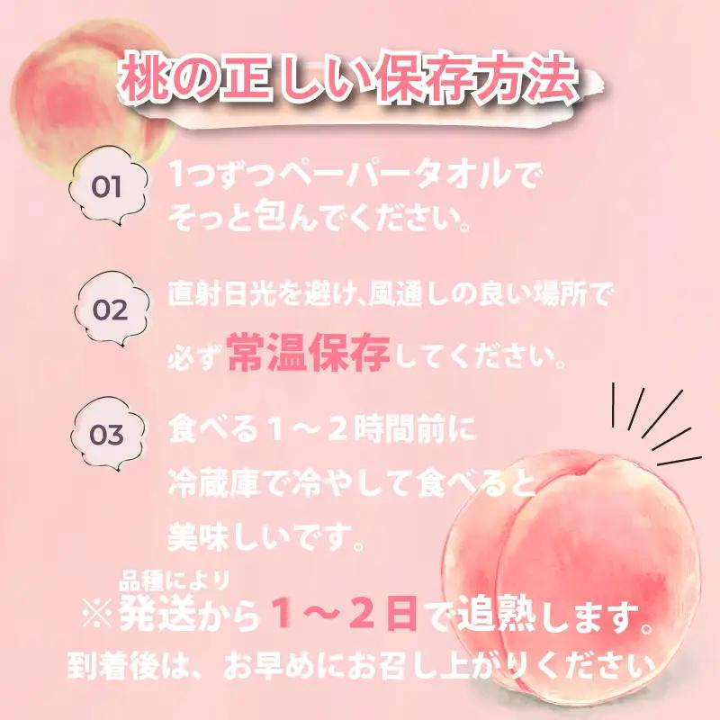 桃 約2kg 先行予約 7～9玉  L~3L くだもの 贈答用 下関 山口 HJ006