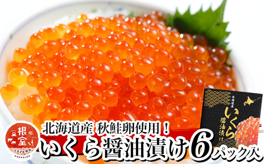 
                  D-81001 いくら醤油漬け100g×6P(計600g)
                