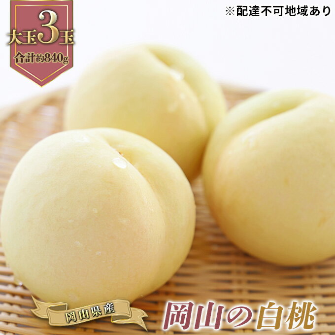 白桃（早生種）大玉 3玉（約840g） 岡山県産 桃 もも 果物 フルーツ 2023年 先行予約　【 果物 もも フルーツ 果物類 白桃 】　お届け：2023年6月下旬〜2023年7月中旬