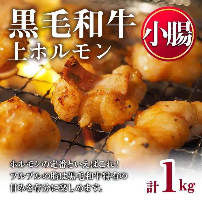 ホルモン 黒毛和牛 上ホルモン (計1kg) 【LRプラスK】 No.1001-02