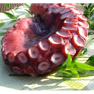 ふるさと納税 与謝野町 京都府産　タコ足　1本(冷凍:鮮度抜群真空パック)【共通返礼品】 |  | 01