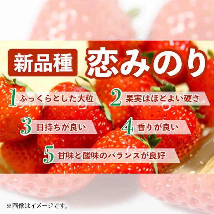 【先行予約】恋みのり 約1kg 果物いちご苺ZBG062