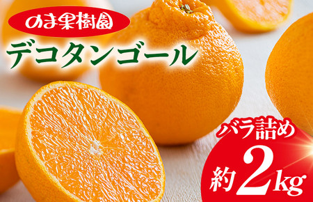 デコタンゴール （2kg） [K003680K2] 人気商品 国産 高級フルーツ 人気商品 みかん 柑橘 フルーツ 果物 乃万青果 のま果樹園 不知火 ポンカン