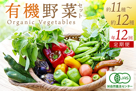 【年12回定期便】＜てんとうむしばたけ＞オーガニック野菜セット　有機野菜11～12種(4人用)