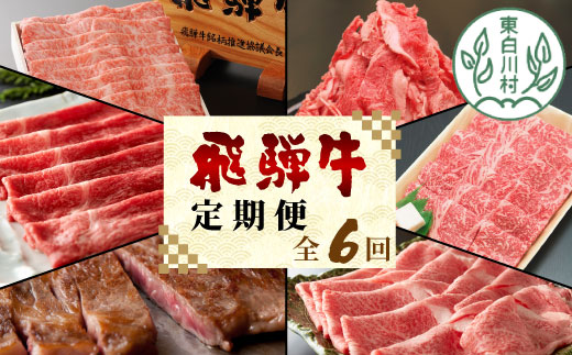 定期便 6回 飛騨牛 ロース 肩ロース カタ モモ ステーキ ロースステーキ サーロインステーキ すき焼き しゃぶしゃぶ 肉 牛 牛肉 和牛 養老ミート