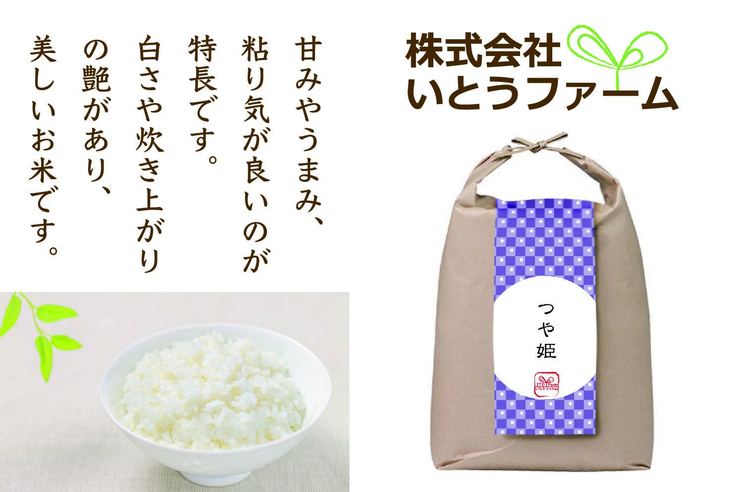 いとうファームの 令和6年産 「つや姫」 15kg（5kg×3袋） / 米 お米 精米 白米 ご飯 産地直送 【itofarm008】