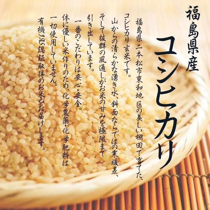 令和8年産 有機JAS コシヒカリ 玄米 5kg【稲香ぴよぴよ農園】